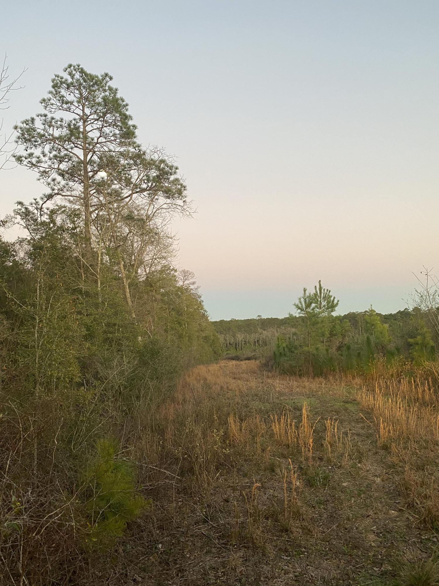 METES & BOUNDS - Farm