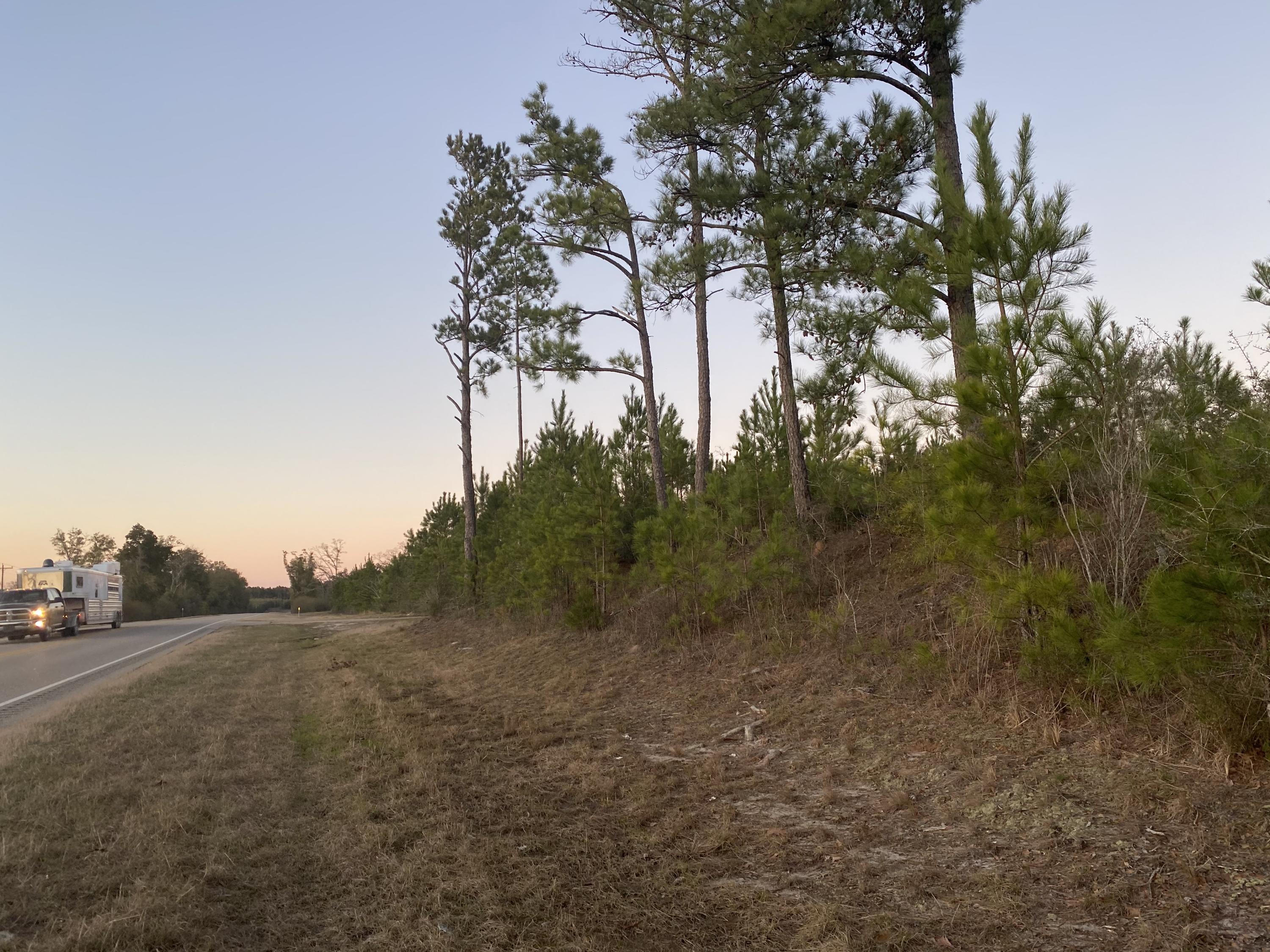 45ACs outside of Wing! Bring your house plans! Paved road frontage.https://goo.gl/maps/gJM4t8eGyZ2B3M5i931 degrees 03'59.3''N 86 degrees 34'27.7''WProperty adjoins the Conecuh National Forest.