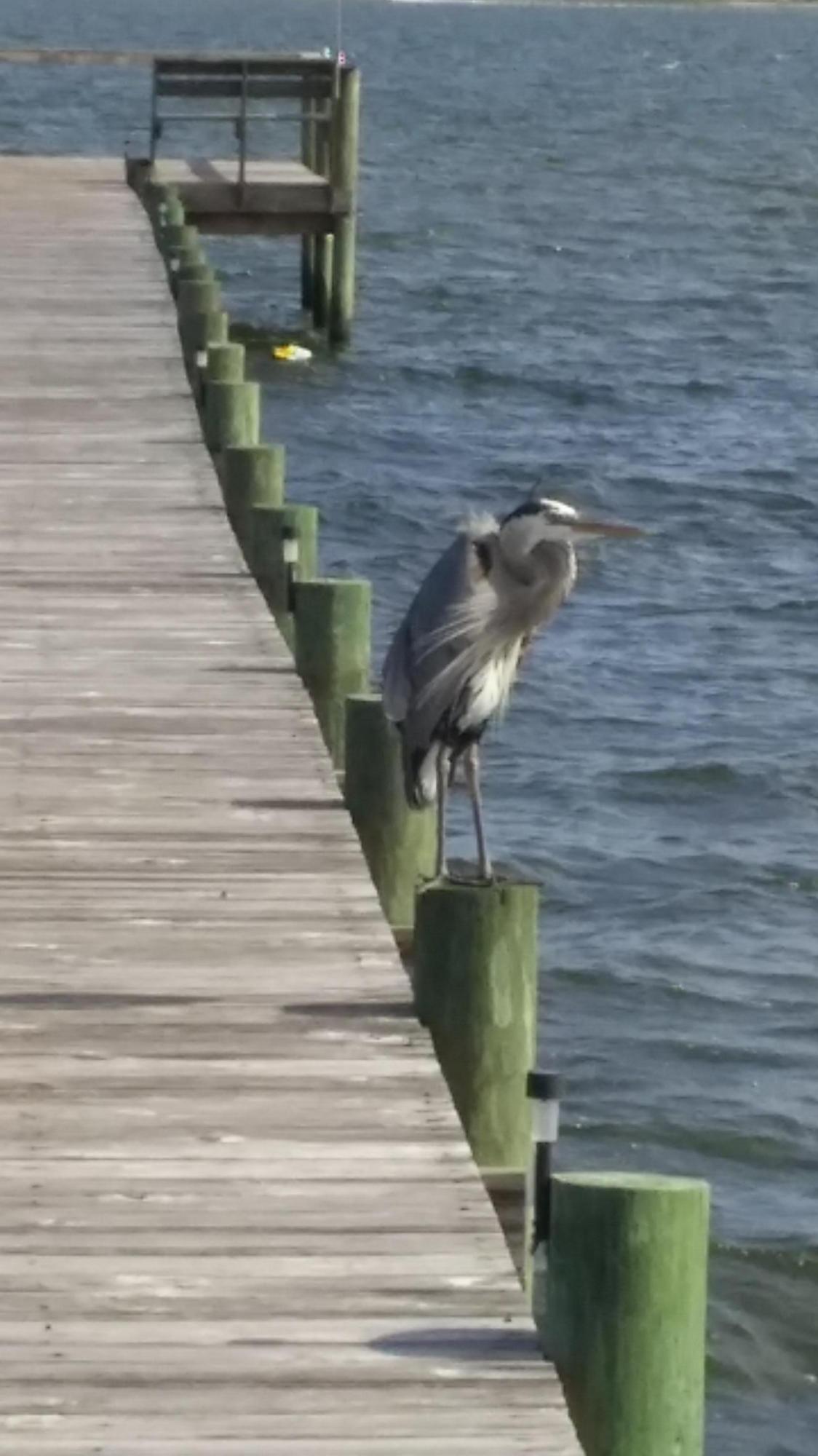 SAFE HARBOUR VILLAGE CONDO - Residential