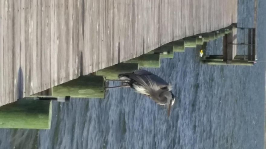 Excellent one bedroom, one bath, vacation condo with great view of the inter coastal waterway of Santa Rosa Sound. Nice swimming pool, wooden deck sitting area, vast treed, grassy, common area, pet friendly small condo community and it even has it's own private fishing pier and small sandy beach. Residents enjoy paddle boarding, kayaking, swimming and beautiful sunsets. You just gotta love it!