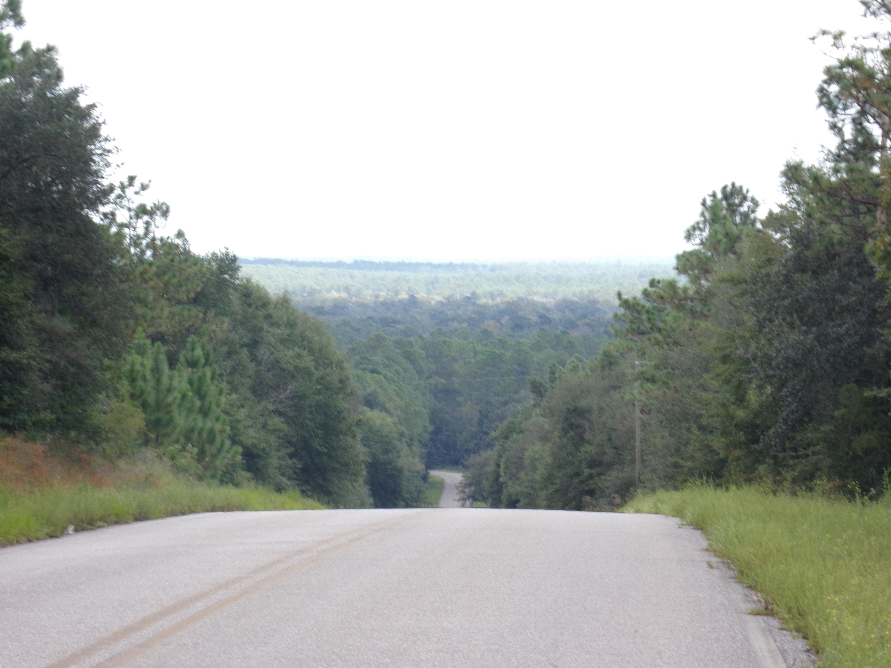 This land is on the crest of Wilkerson Bluff and you can see the valley below for miles~ Magnificent view, beautiful trees and just minutes out of town and to the interstate~ Enjoy the peaceful country living on a paved road and just minutes from town~