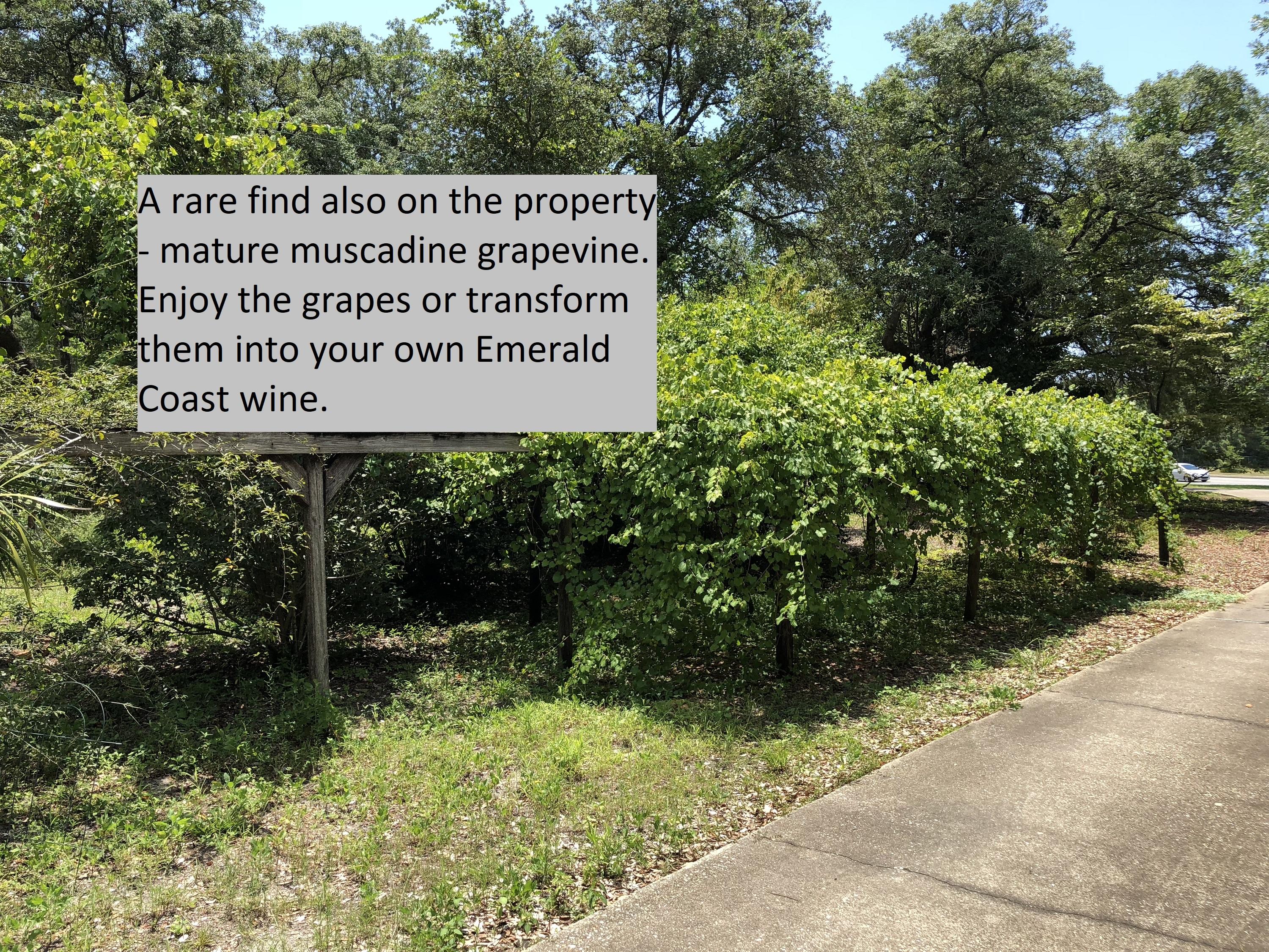 BAYOU S/D Lot 2 Blk 4 - Residential