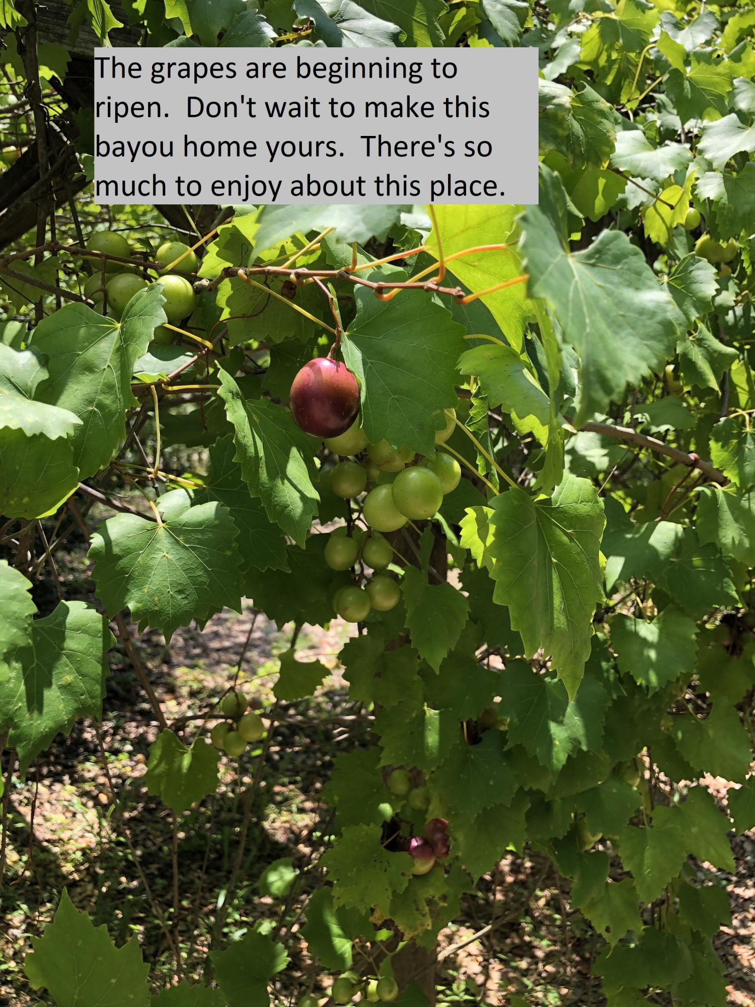 BAYOU S/D Lot 2 Blk 4 - Residential