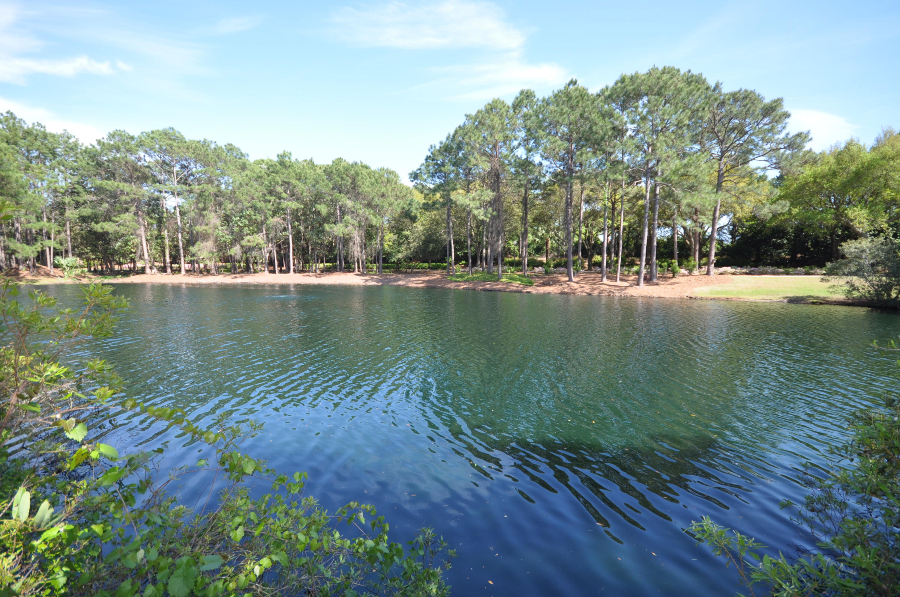 PRESTWICK PLACE - Residential