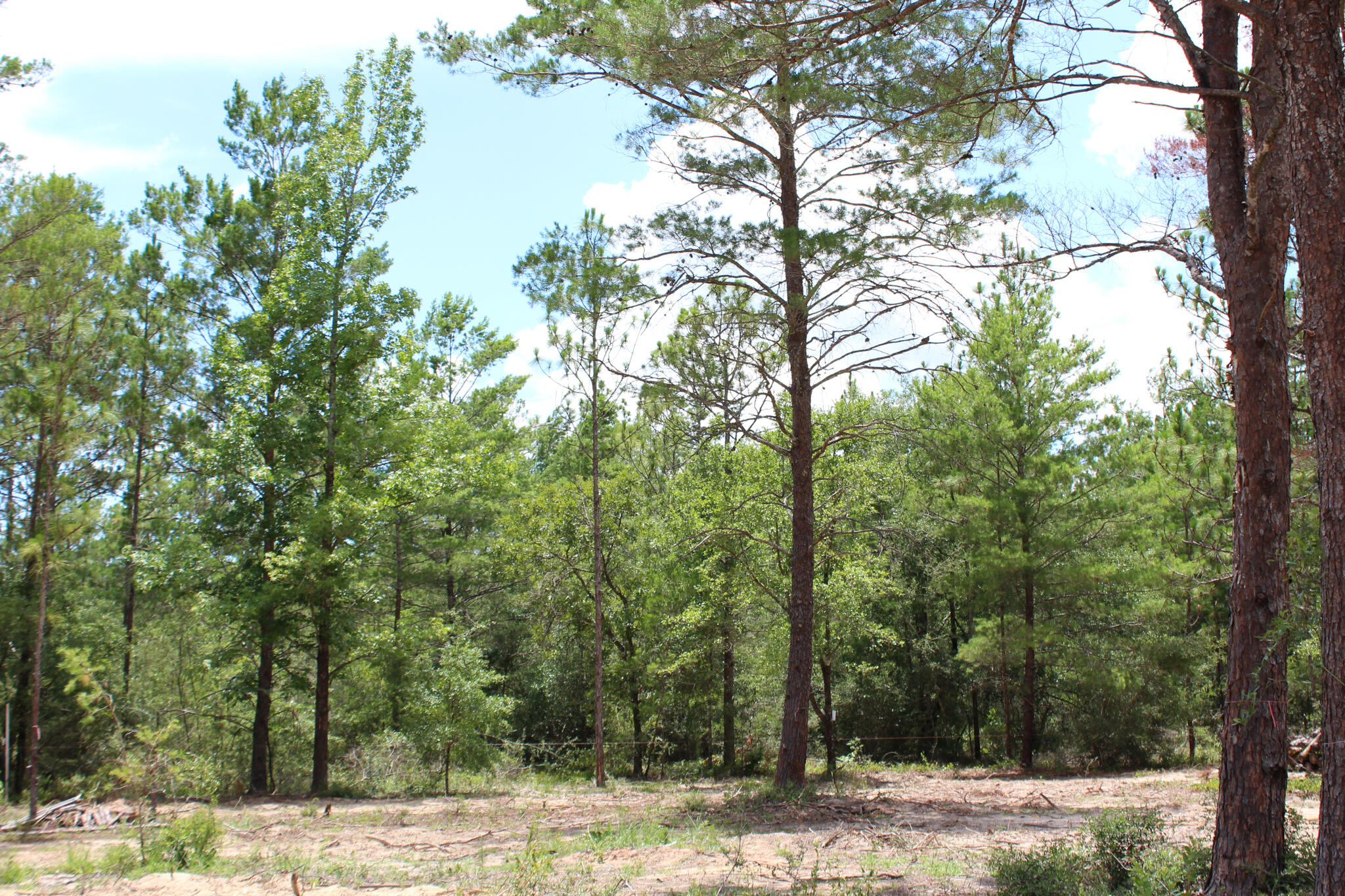 LOTS 7 & 8 BLK 60 OAKWOOD HILLS UNIT III PB 4-2 OR 2693-1075 OR 3030-214 OR 3224-2041 - Land