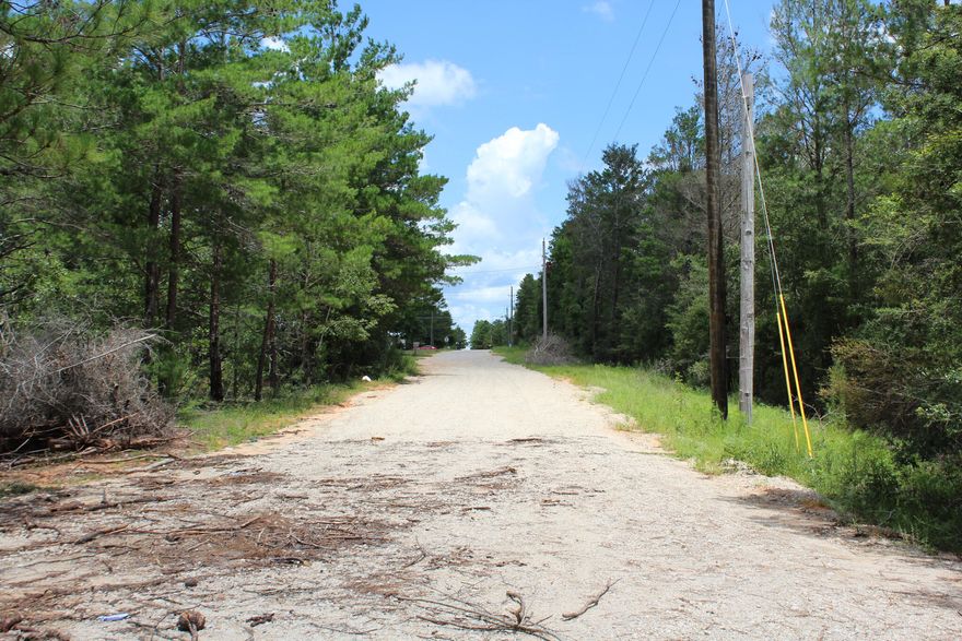 Don't miss out on over half an acre lot in a cul-de-sac with newly limestone road. This Property has been cleared and ready to go. There is a well on property, it has not been inspected so owners are unsure of the condition.  There is a power pole and box on property. The septic does need to be replaced, the owner has pulled a septic permit and it is transferable.