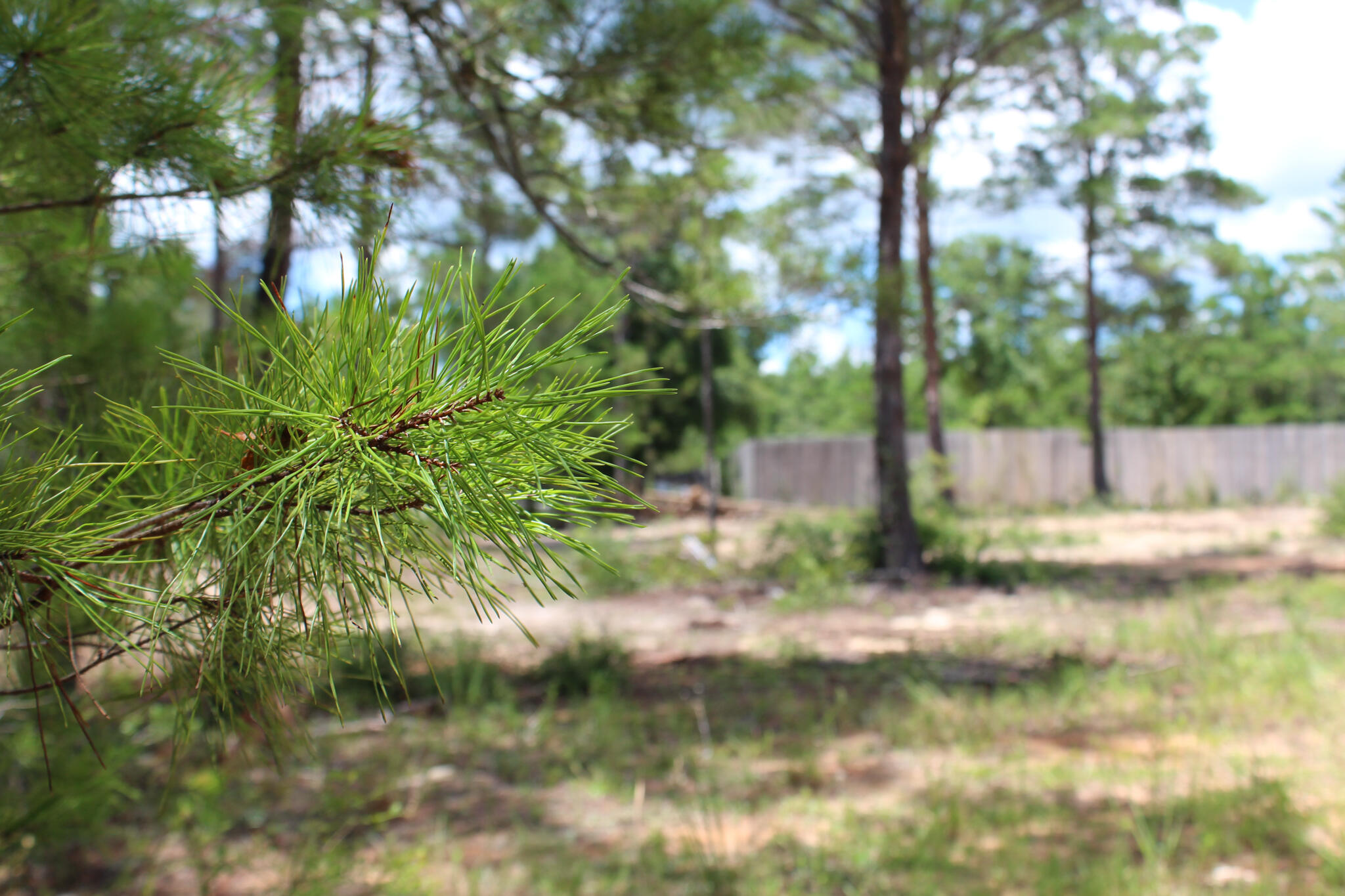 LOTS 7 & 8 BLK 60 OAKWOOD HILLS UNIT III PB 4-2 OR 2693-1075 OR 3030-214 OR 3224-2041 - Land