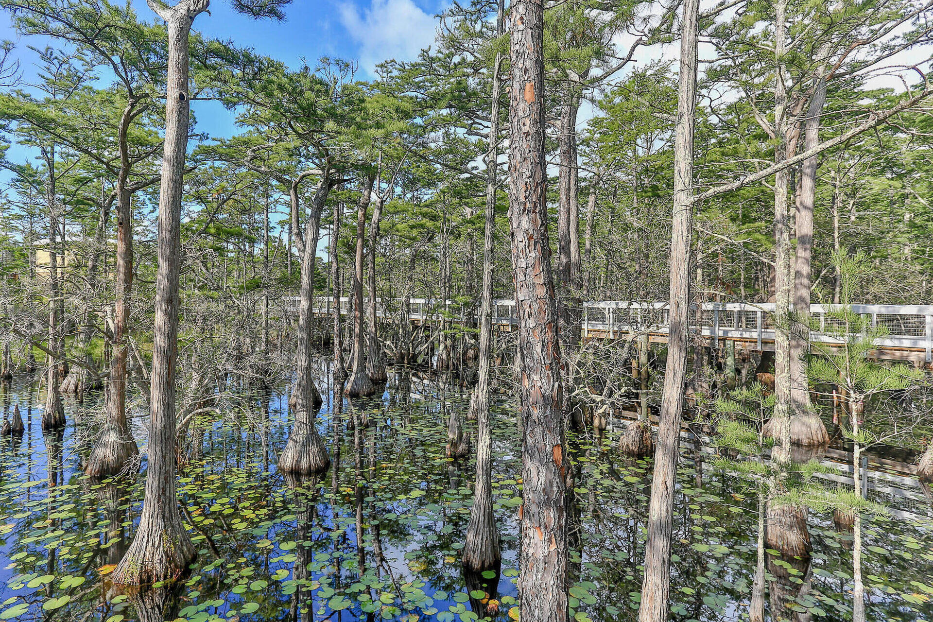 CYPRESS DUNES - Residential
