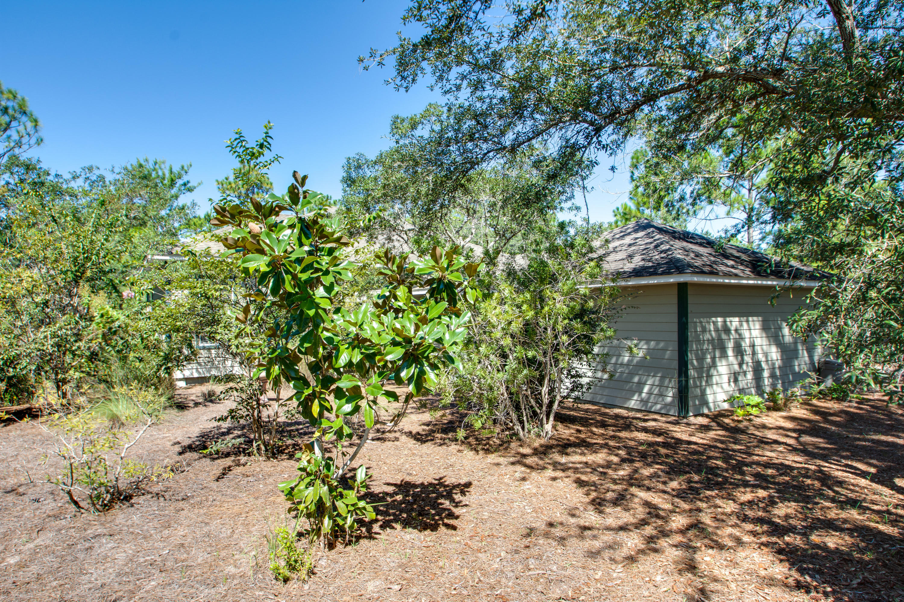 The Woods - Residential