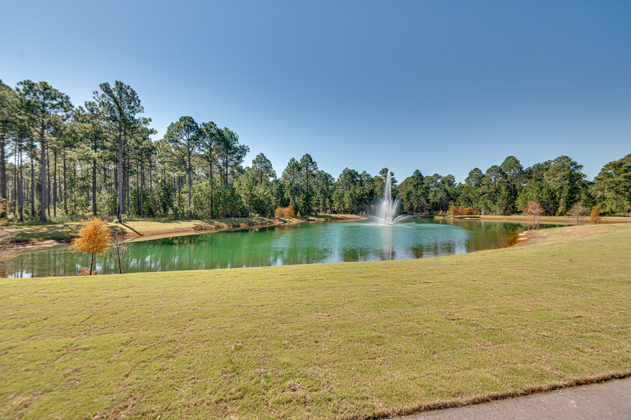 HAMMOCK BAY - Residential Lease