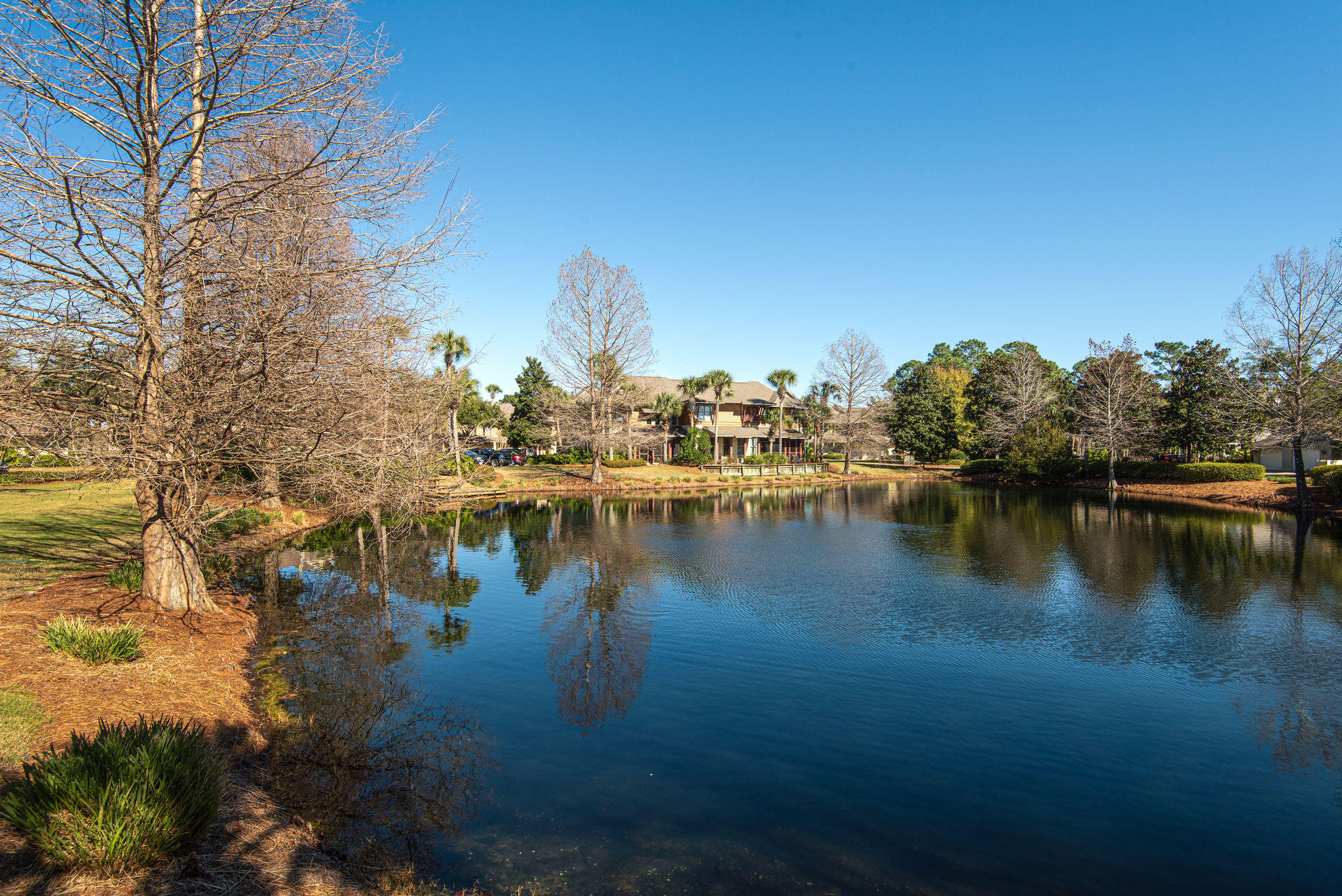 Magnolia Bay - Residential