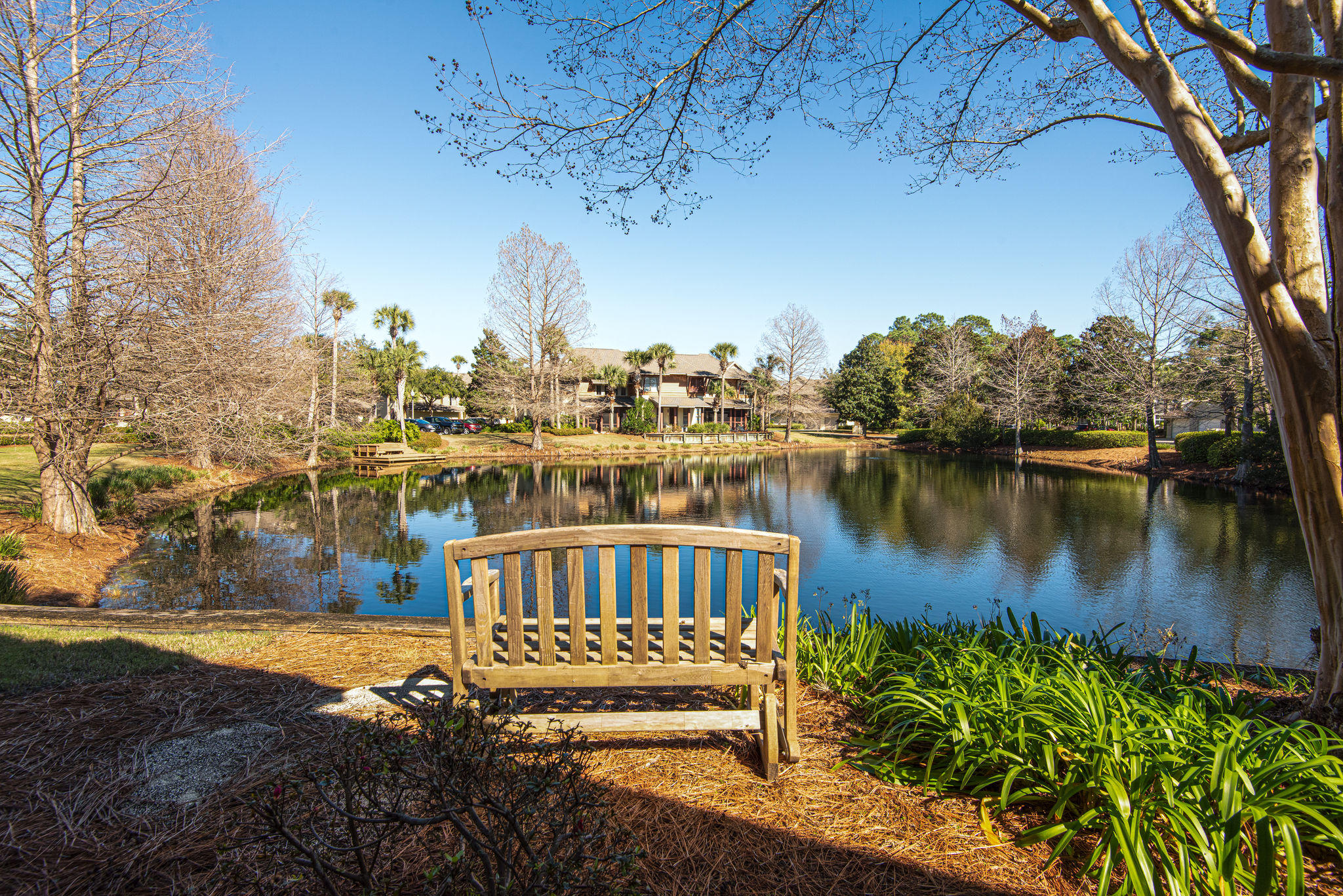 Magnolia Bay - Residential