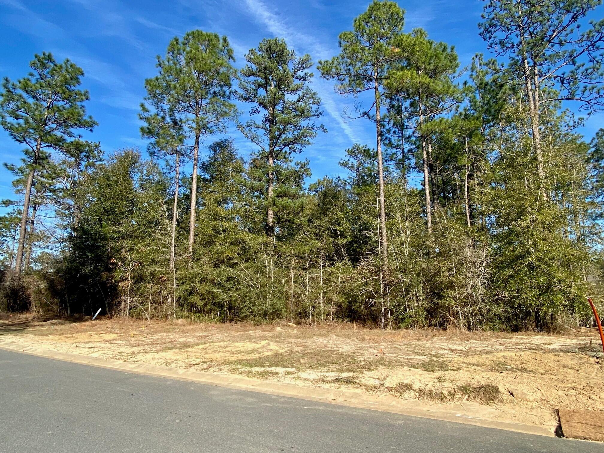 HERITAGE PLANTATION PH I - Land