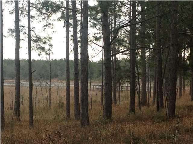 HOLLEY FAMILY PH 2 - Land