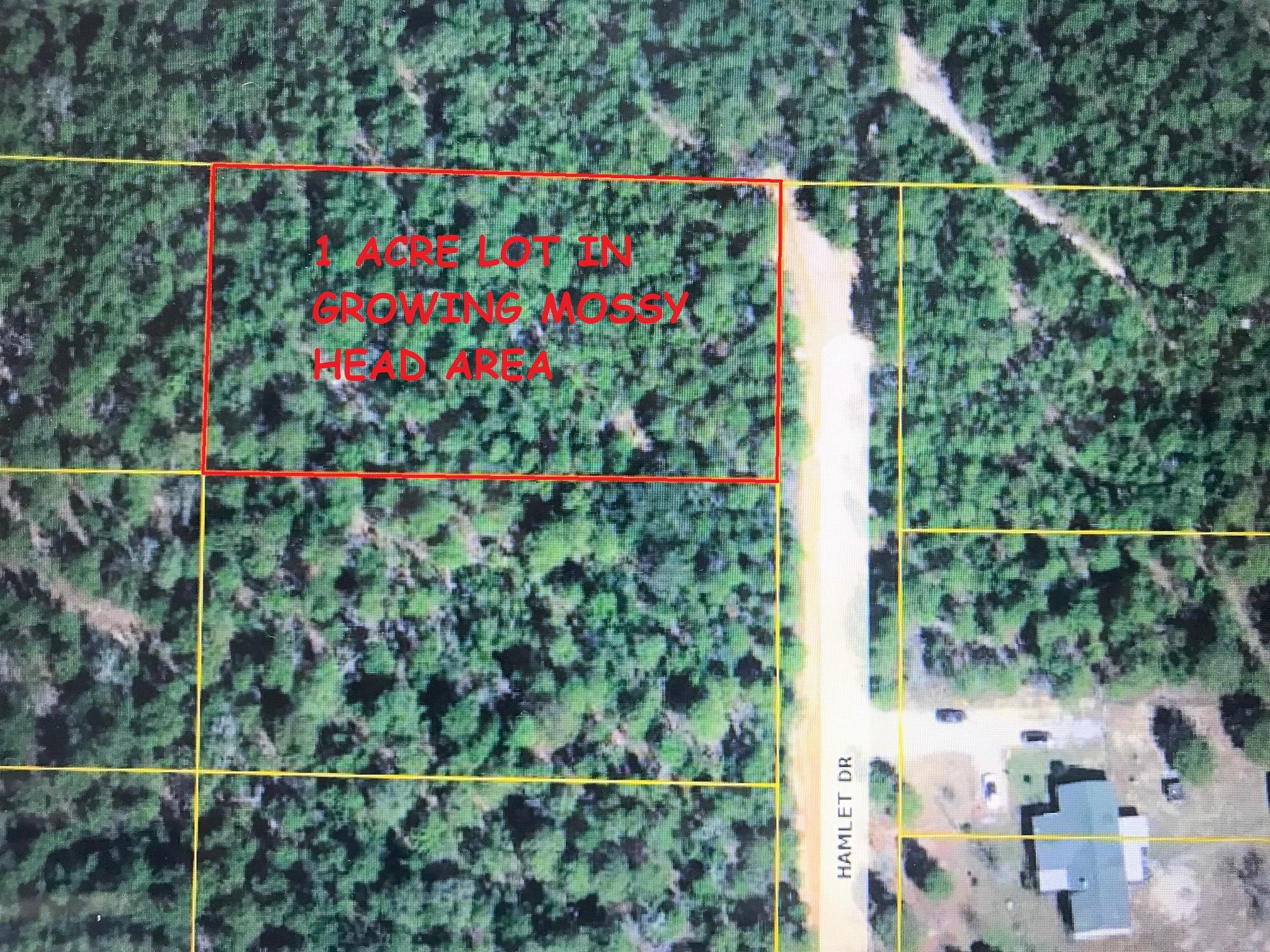 1 acre lot located in growing Mossy Head area of Defuniak Springs. Located within 10 minutes to Defuniak Springs and I-10 & Hwy 285 in Mossy Head making for a quick commute to Crestview, Niceville, Ft. Walton Beach and Eglin AFB. No utilities currently on property.