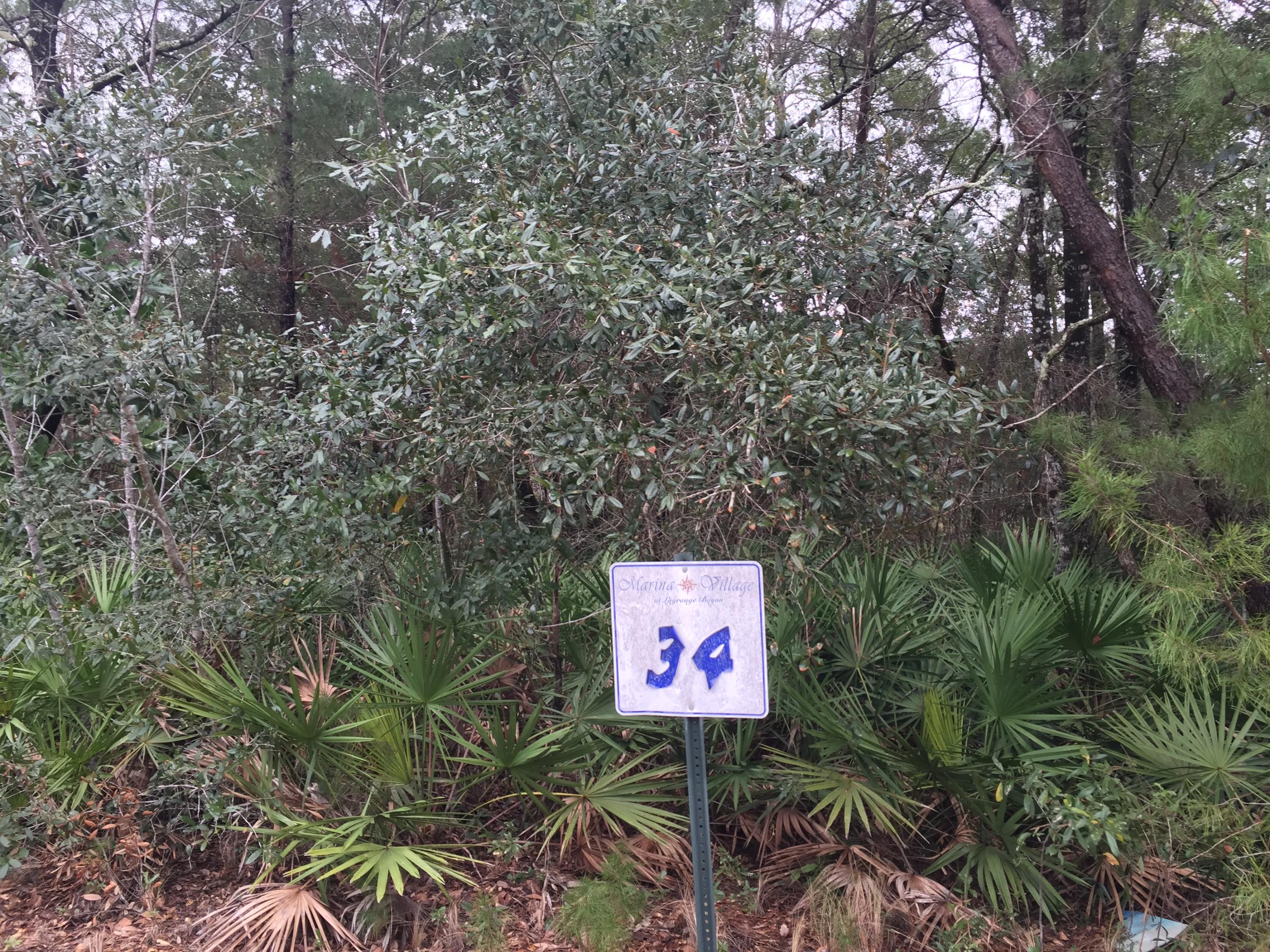 Marina Village at LaGrange Bayou - Land