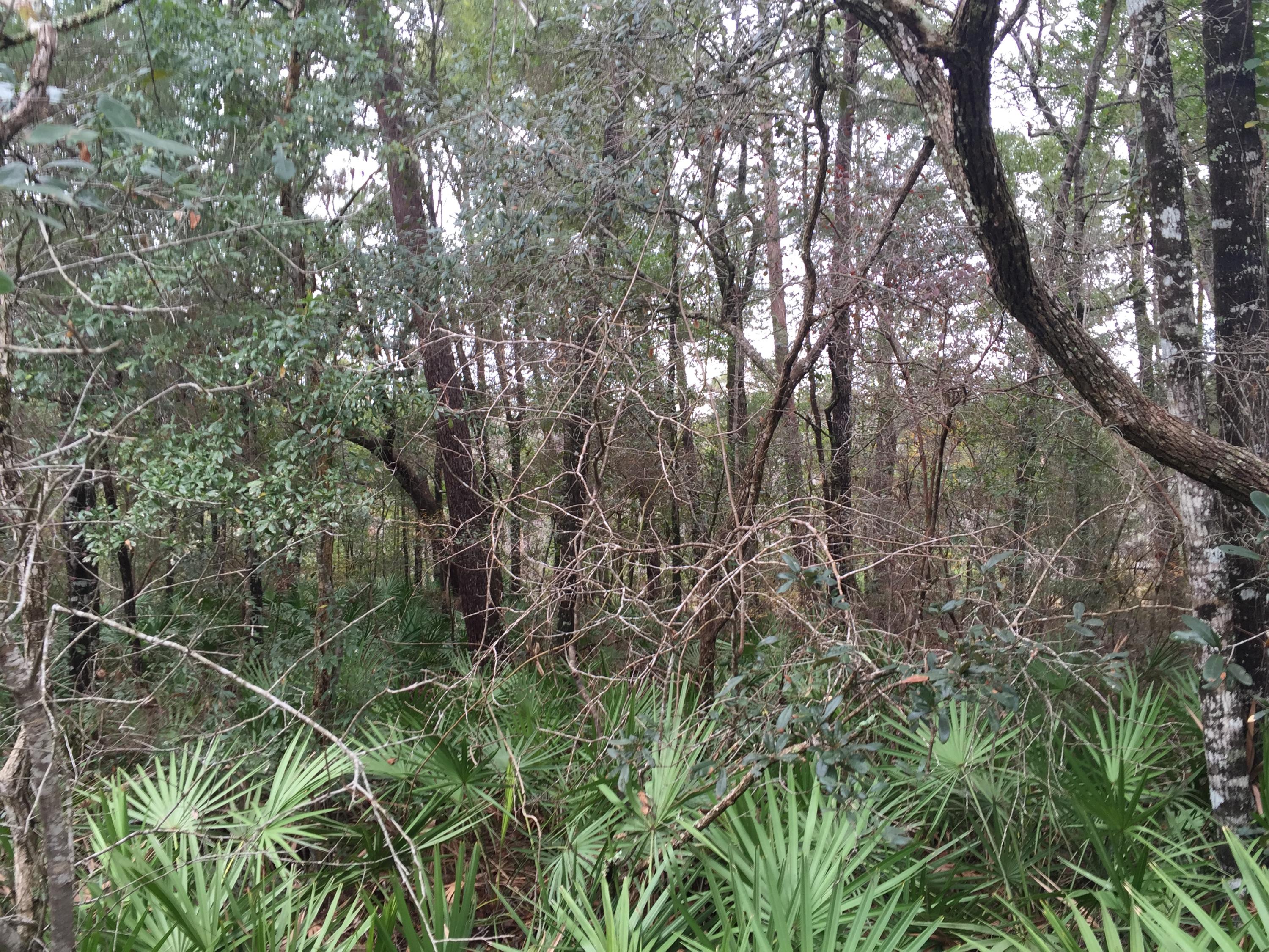 Marina Village at LaGrange Bayou - Land