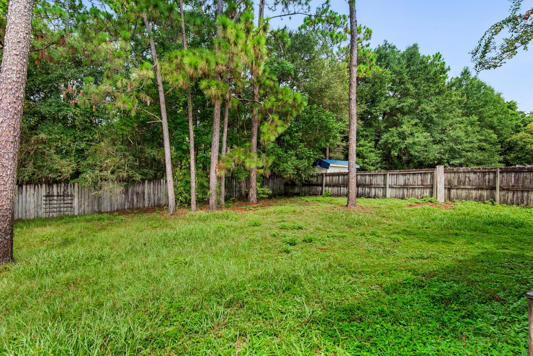 STEEPLECHASE PH 2 - Residential Lease
