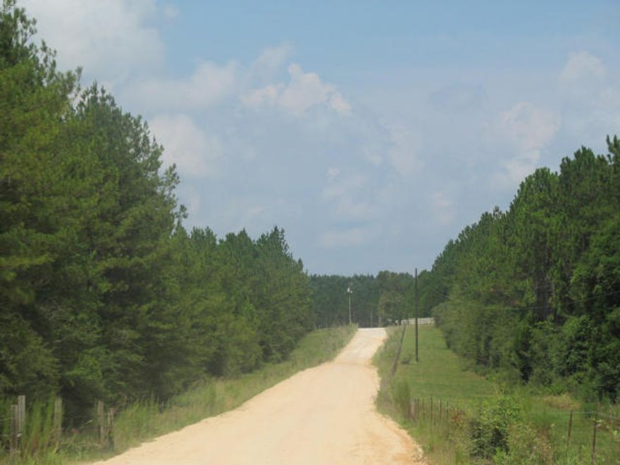 One Of North Walton's Premier Hunting Tracts! Beautiful Rolling Hills, Pine Trees & Fox Branch Creek Runs Through The Grounds. A Real Hunters Paradise, With Access Roads, Green Fields, Shooting Lanes & 2 Shooting Houses Are All In Place. In 2010 The Owner Acquired A Nine Point 212 Pound Deer. All Of This Is Conveniently