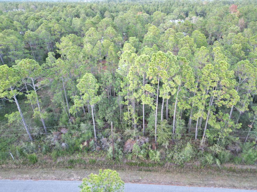 Build your new home on this .42 ACRE Lot in a nature lovers paradise in a secluded community just steps from the Blackwater Bay where you can enjoy fishing and water activities. Only 10 minutes from I-10 and 15 minutes to downtown Milton, FL shopping. In 20-25 minutes you can enjoy all the activities of Pensacola and the Gulf Coast Beaches. . No Home Owner Association fees. Flood Zone X. BRING ALL OFFERS