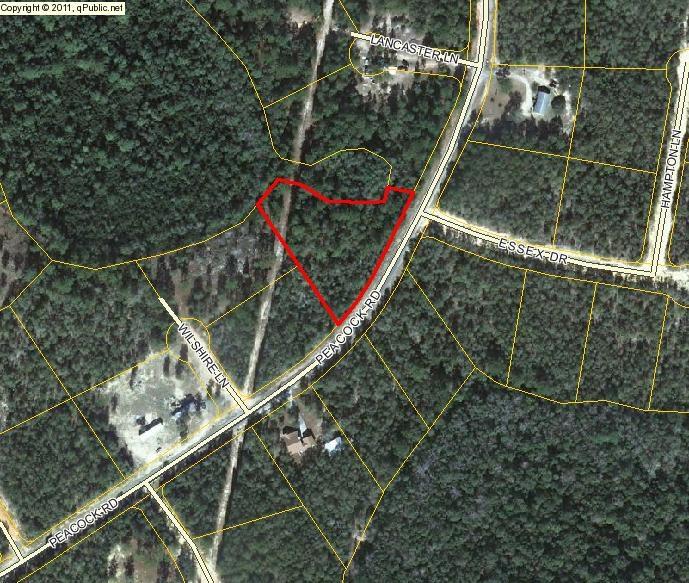 LARGE LOT IN MOSSY HEAD! This is your chance to get a huge 1.4 acre lot in Mossy Head on a paved road at a great price. All utilities, dimensions, and acreage to be verified by Buyer at Buyer Expense. No survey.