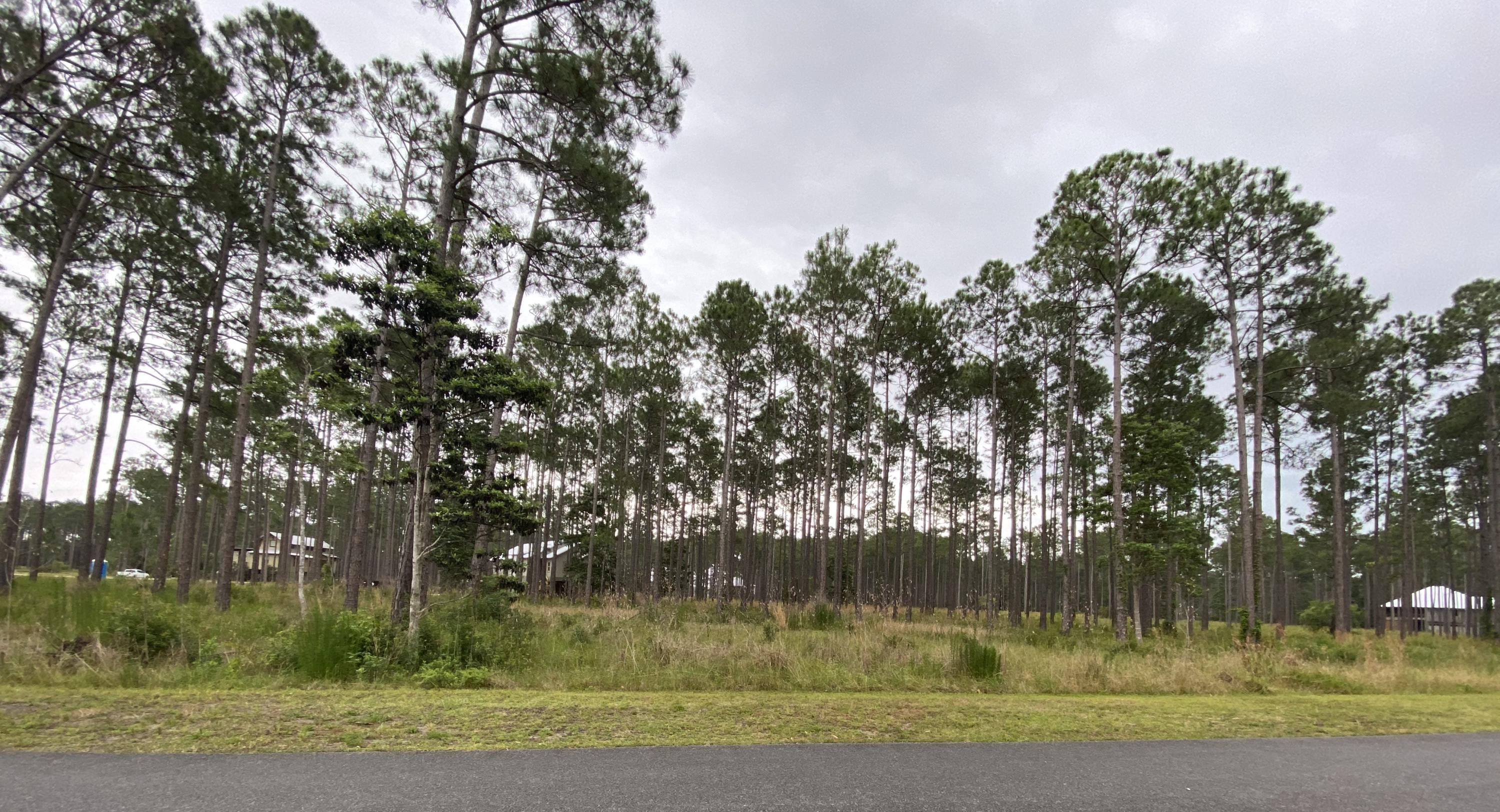 RIVERCAMPS ON CROOKED CREEK - Land