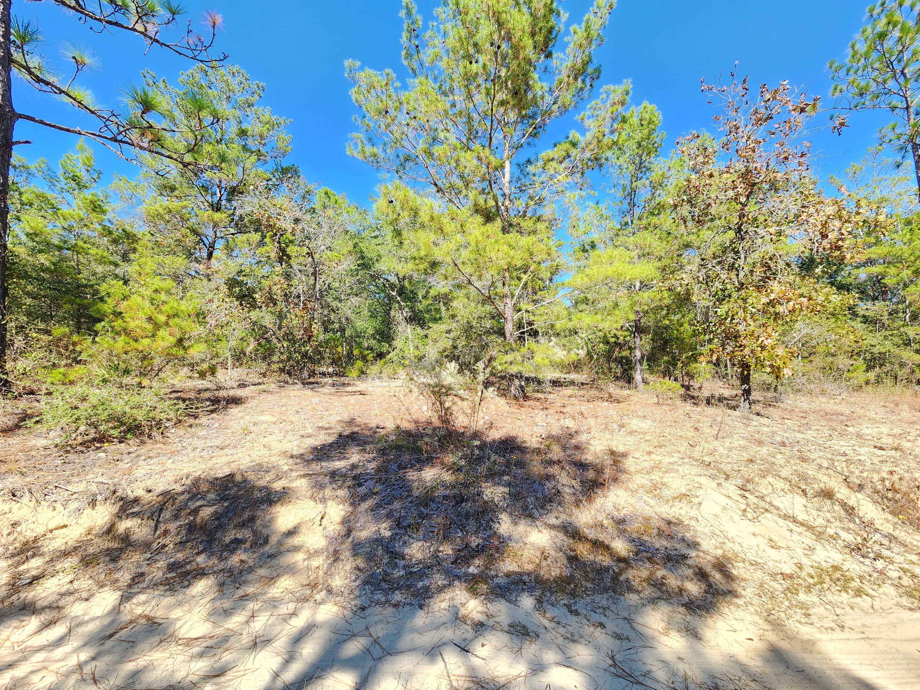 OAKWOOD HILLS UNIT II - Land