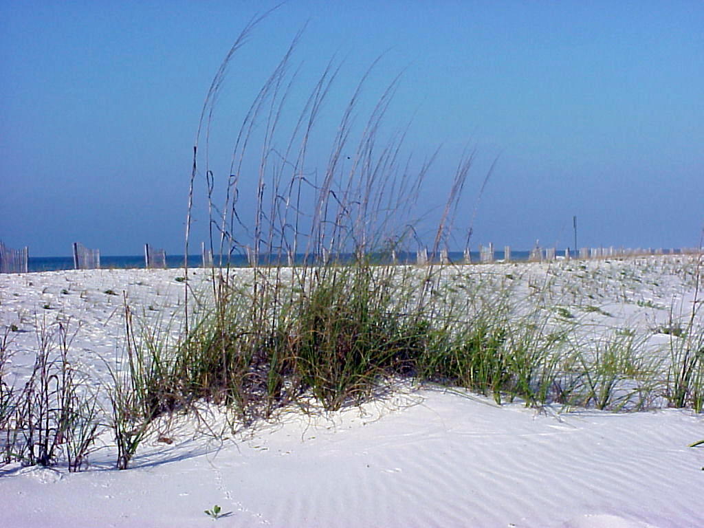 Gulf Island Condominium - Residential