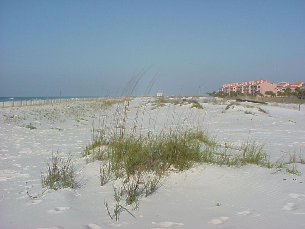 Gulf Island Condominium - Residential