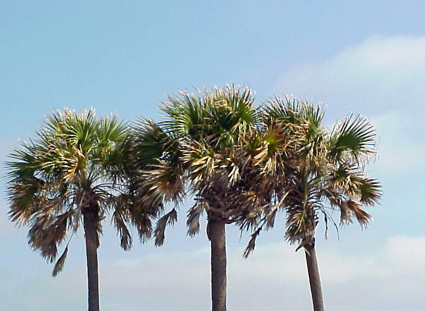 Gulf Island Condominium - Residential