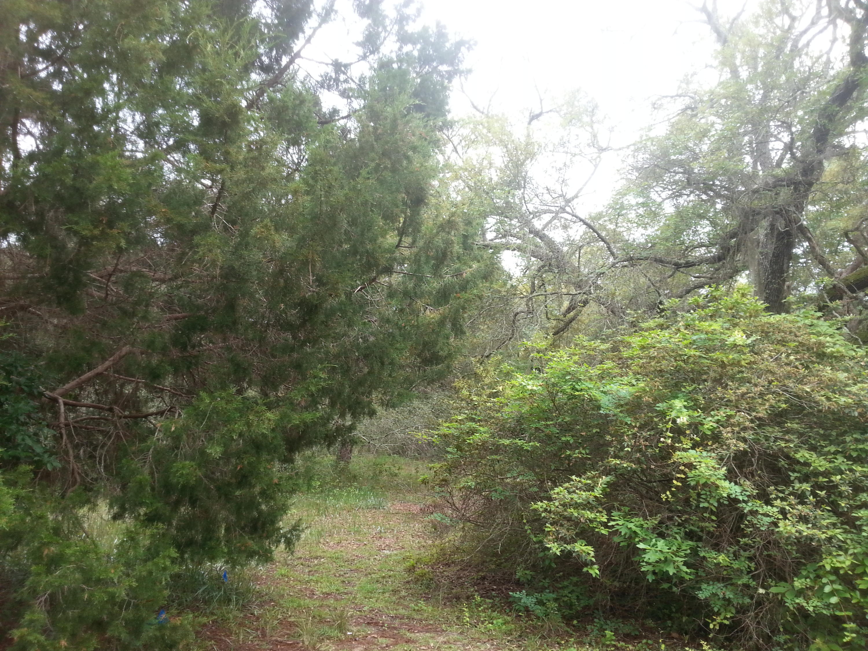 LAIRDS 2ND ADDN - Land