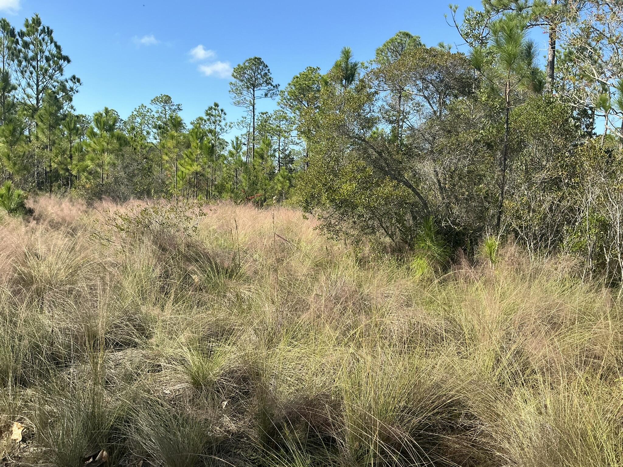 NATUREWALK AT SEAGROVE - Land