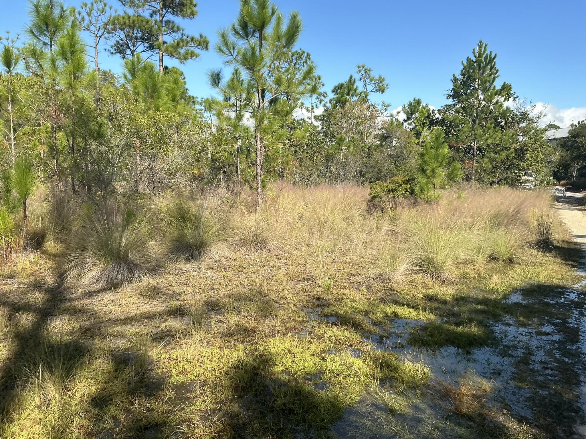 NATUREWALK AT SEAGROVE - Land