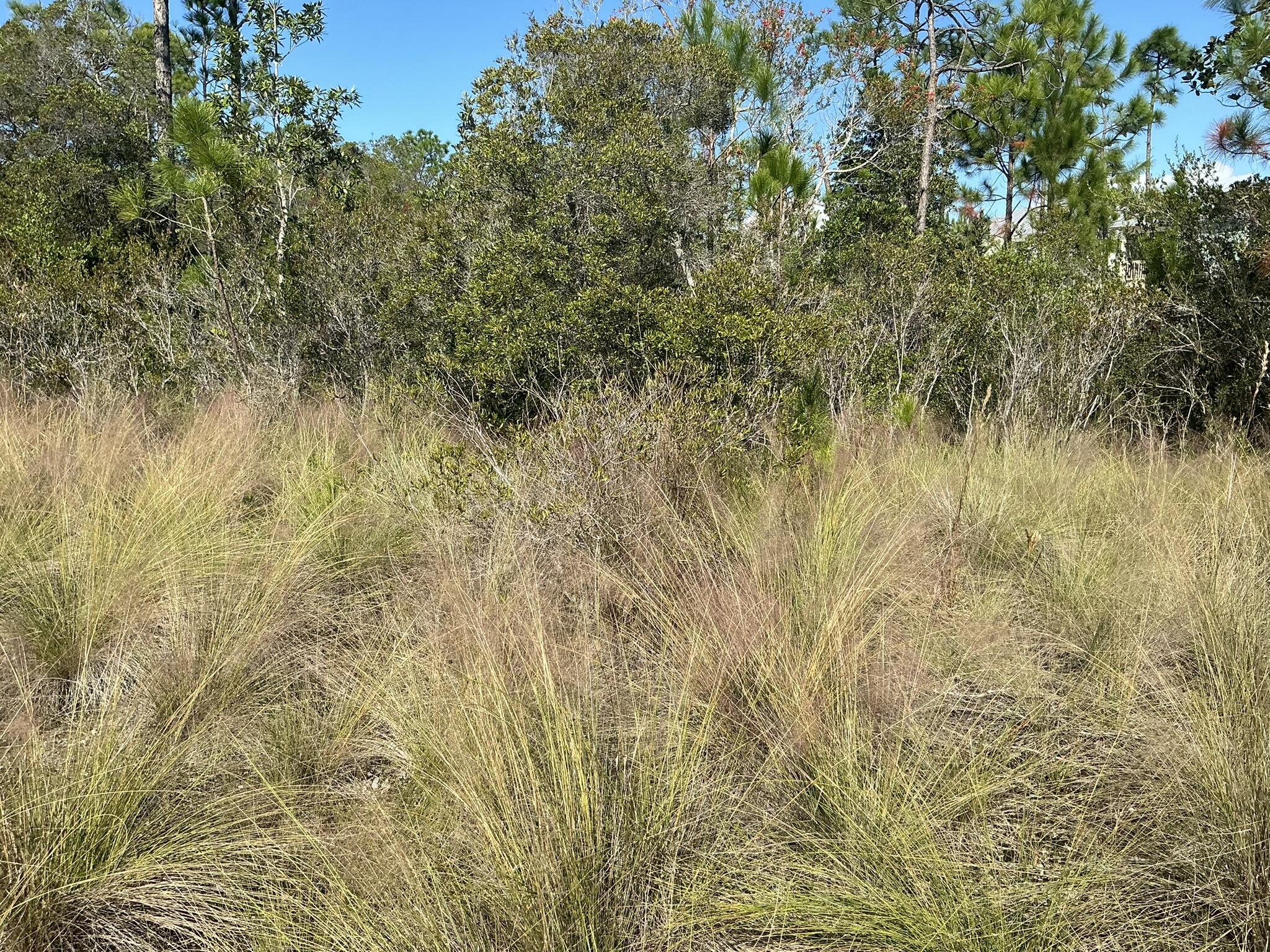 NATUREWALK AT SEAGROVE - Land