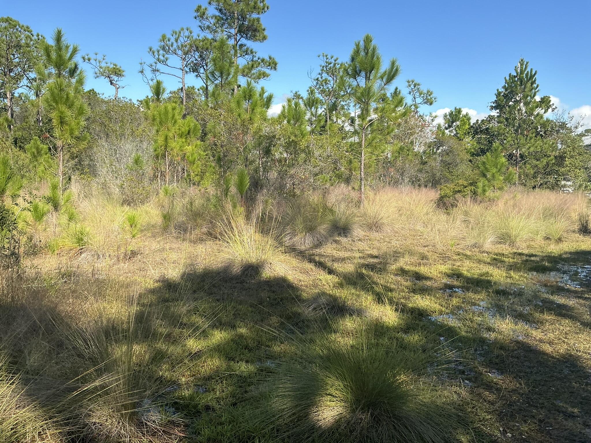 NATUREWALK AT SEAGROVE - Land