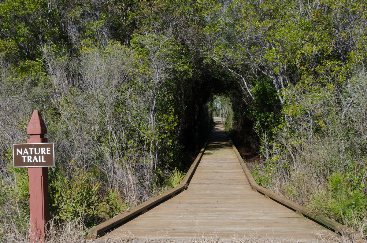 Wild Heron Phase VI - Land