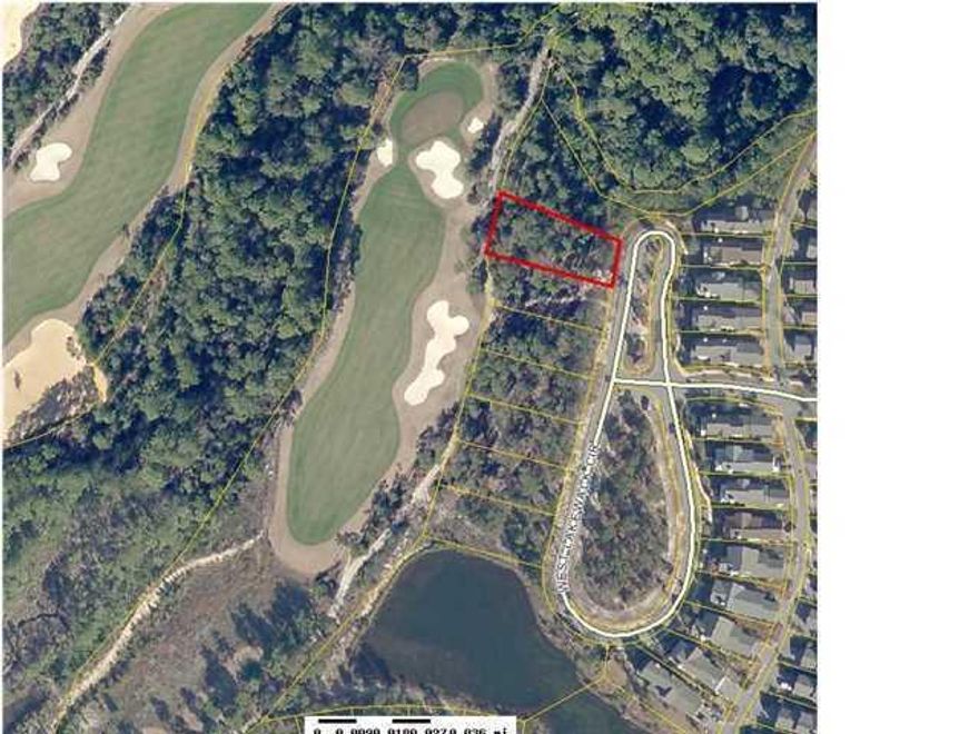 Beautiful C Lot in Wild Heron (larger than the bungalow lots), 0.273 acres measuring approximately 60' x 165' x 85' x 167' on West Lakewalk Circle and backing up to the golf course fairway. Homeowner amenities include pool, hot tub, fitness center, boathouse with canoes and kayaks for your use, boardwalks and fire pit by Lake Powell, picnic areas, playground, lots of space for bike riding and walking and places to view spectacular sunsets. Wild Heron POA dues are $398/quarter, Wild Heron CDD fees are $2,365/year. Located 2 miles from Rosemary Beach and 30A area and approximately 7 miles to Pier Park. Incredible location in quiet neighborhood but close to all the action.