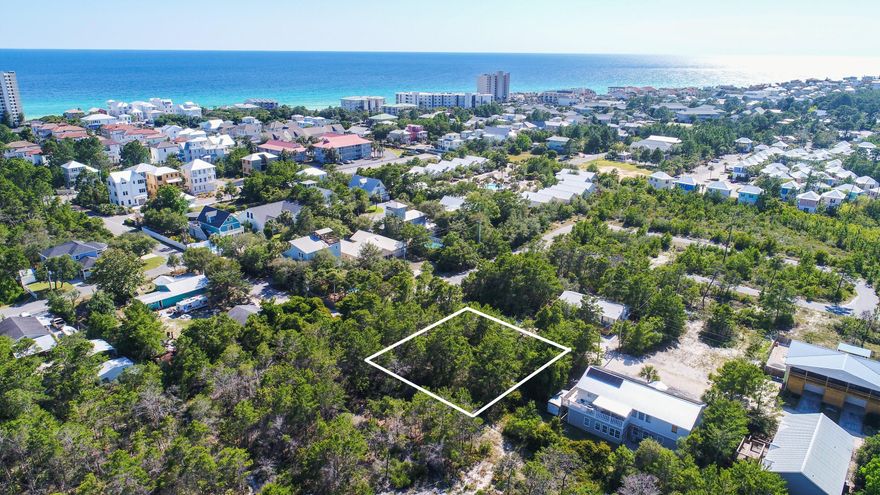 Located less then 1/2 mile to the Gulf of Mexico, just north of 30A in Seagrove Beach, this buildable lot is ready for your future home. Backing up to the Point Washington State Forest, this quiet , wooded lot is just minutes to white sands of the Gulf of Mexico, the shopping & dining of 30A and the hiking trails of the Point Washington State Forest. Located in Flood Zone X, with no HOA or build out time, this lot has tons of potential!