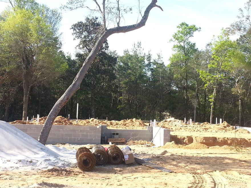 Beautiful new construction in heart of Niceville by premiere builder! Features include 8' doorways throughout, wood and tile flooring, granite countertops, stainless steel appliances and much more! Call for other available lots and floor plans!