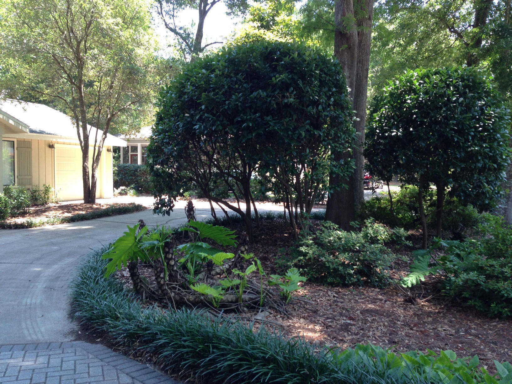 DAUGHETTES AMENDED - Residential