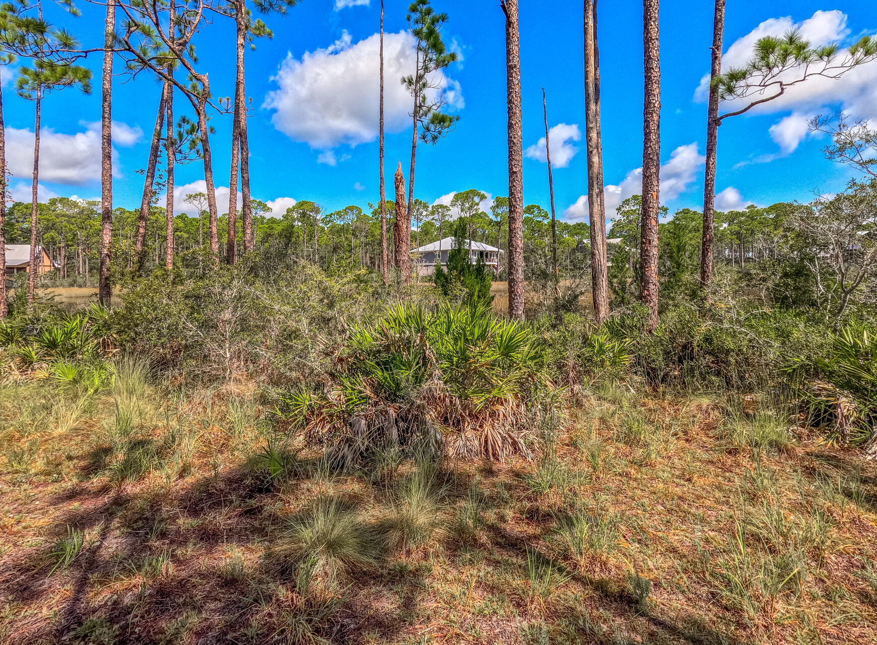 RIVERCAMPS ON CROOKED CREEK - Land