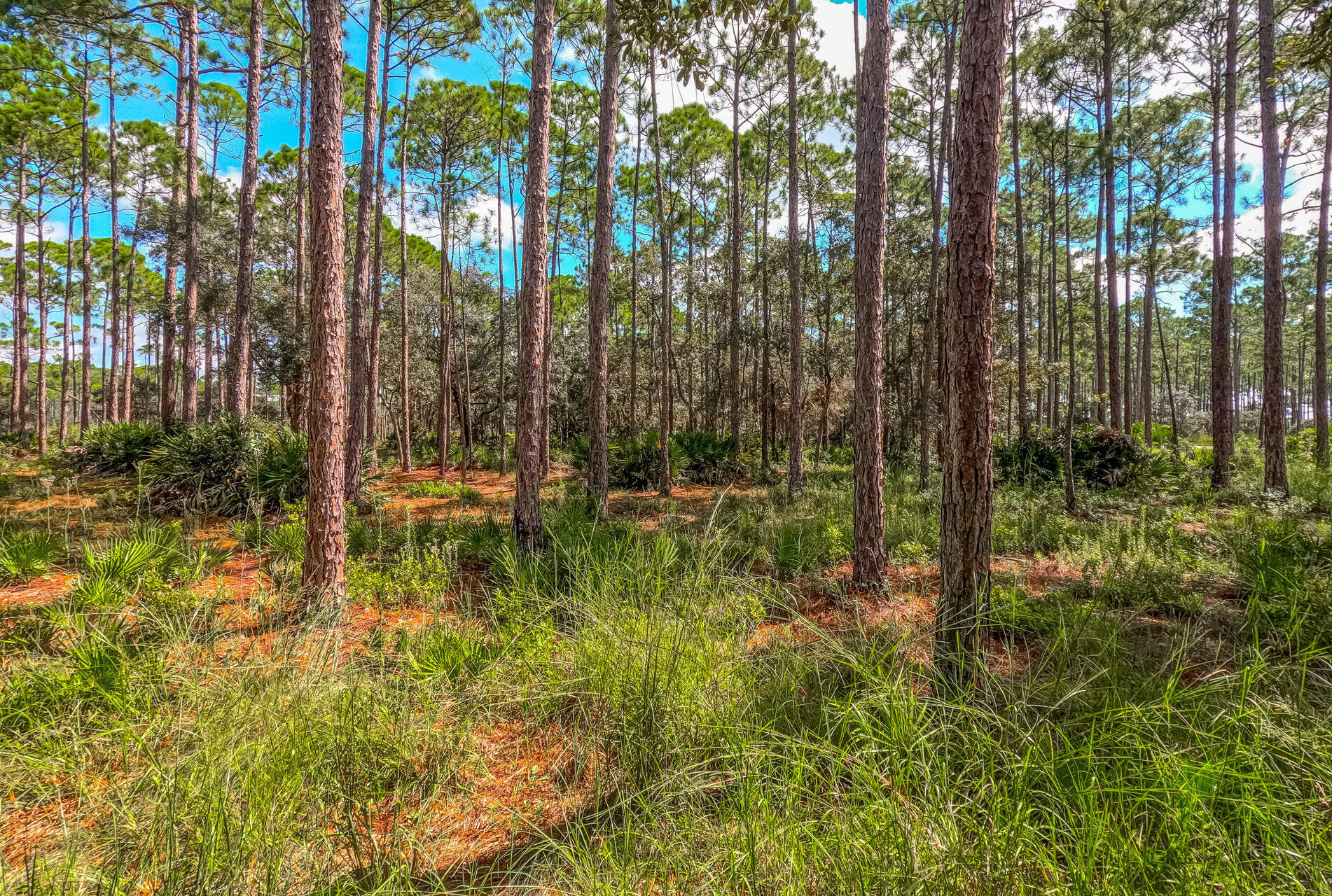 RIVERCAMPS ON CROOKED CREEK - Land
