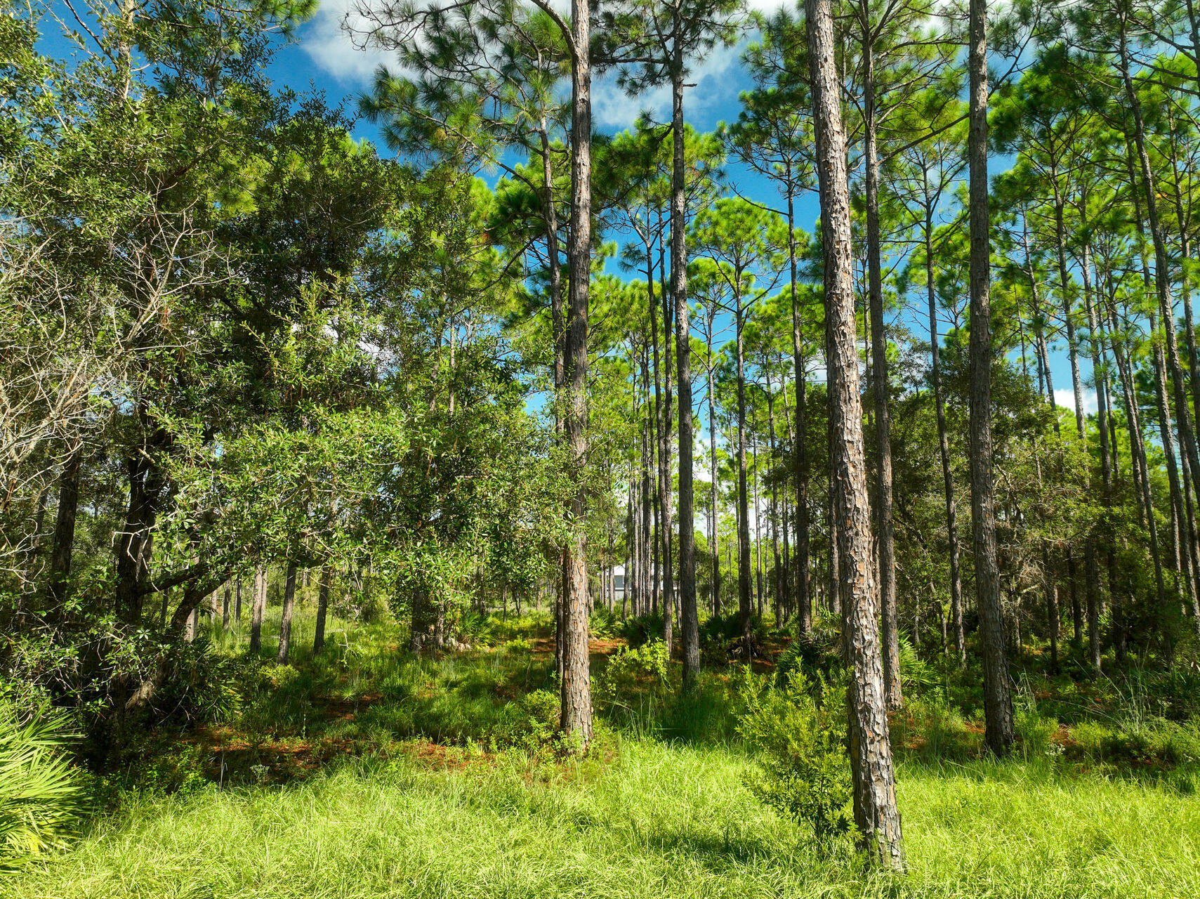 RIVERCAMPS ON CROOKED CREEK - Land