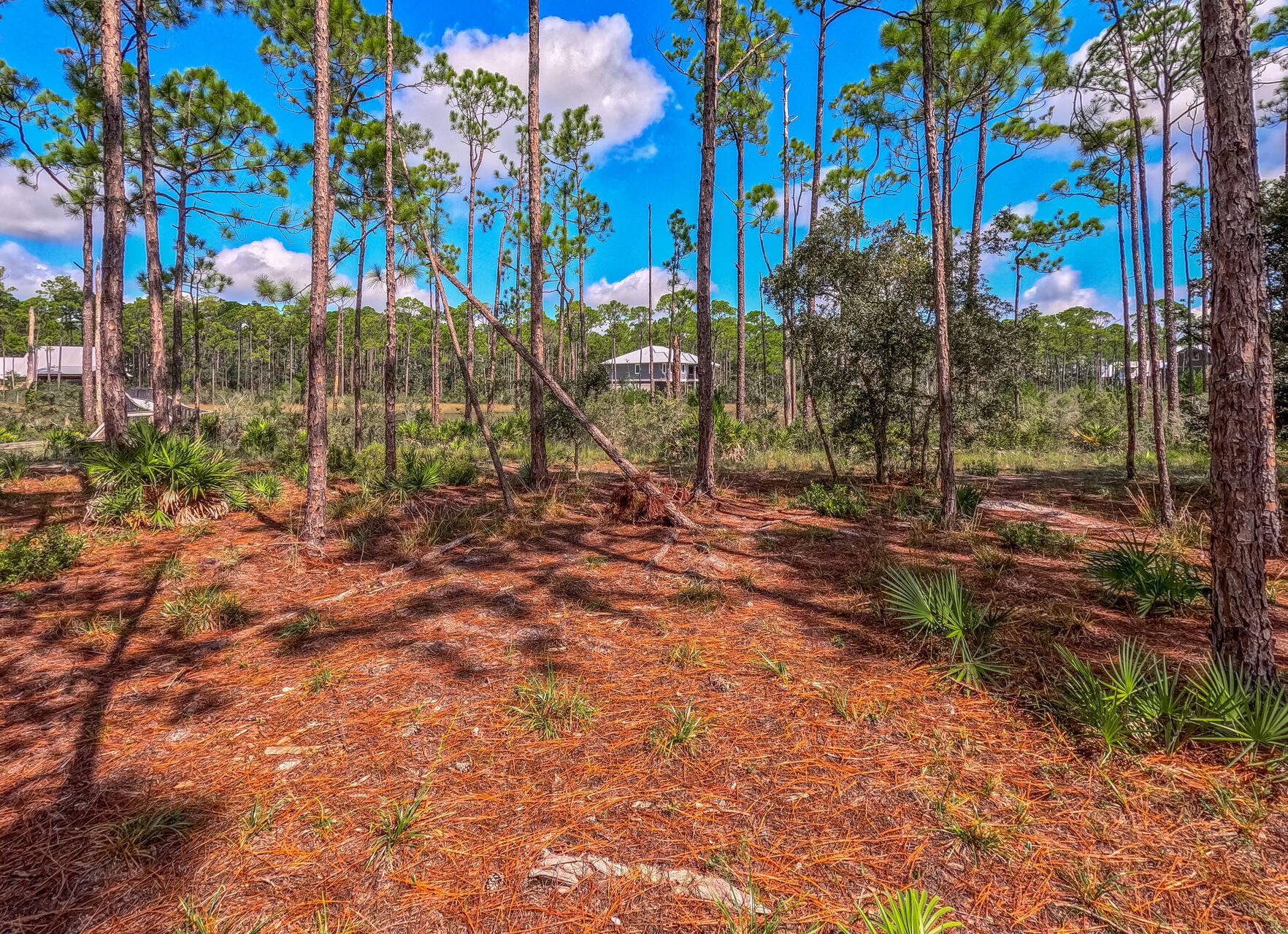 RIVERCAMPS ON CROOKED CREEK - Land