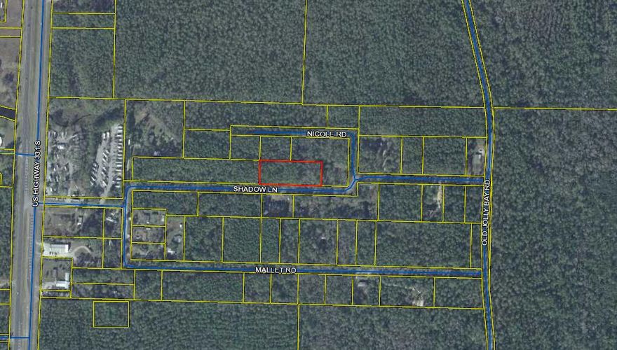 Great opportunity to own 2 lots in one of the fastest growing cities in Florida. These lots are wooded and on a paved road, very accessible to HWY 331 for quick access to the town center and beaches!