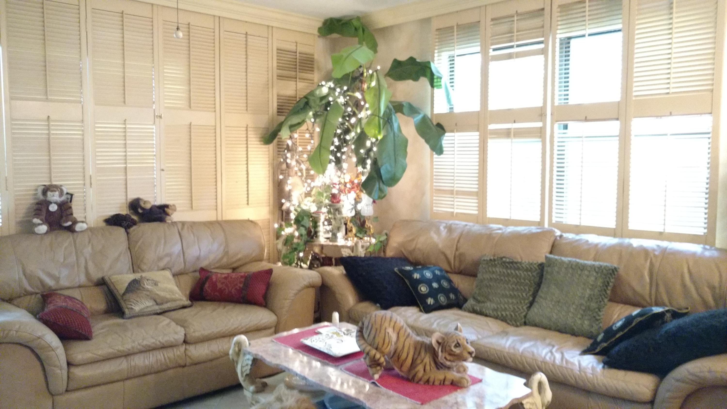 CASSINE GARDENS T/H PH 4 - Residential