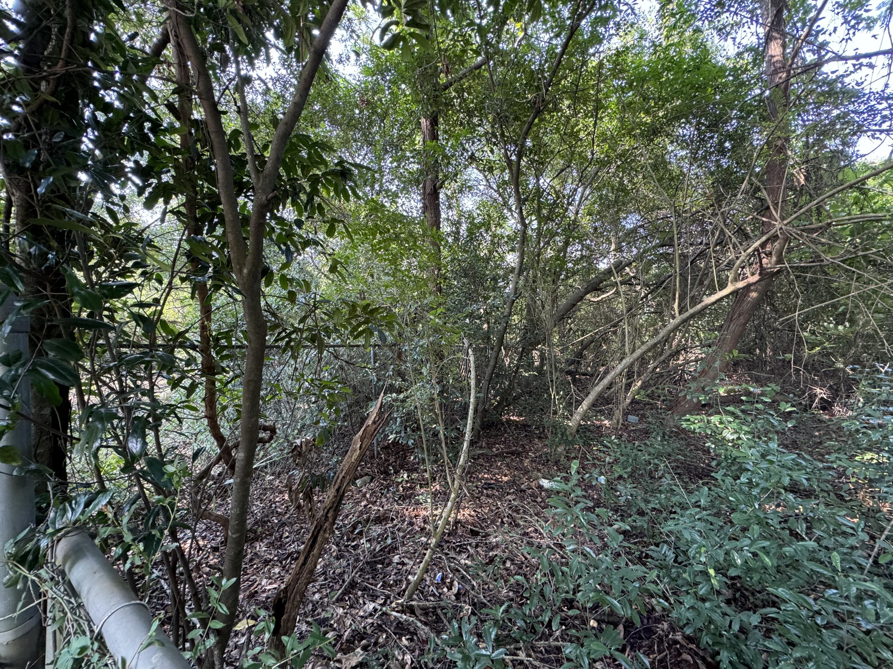 Jack Kennedy 1st Add - Land