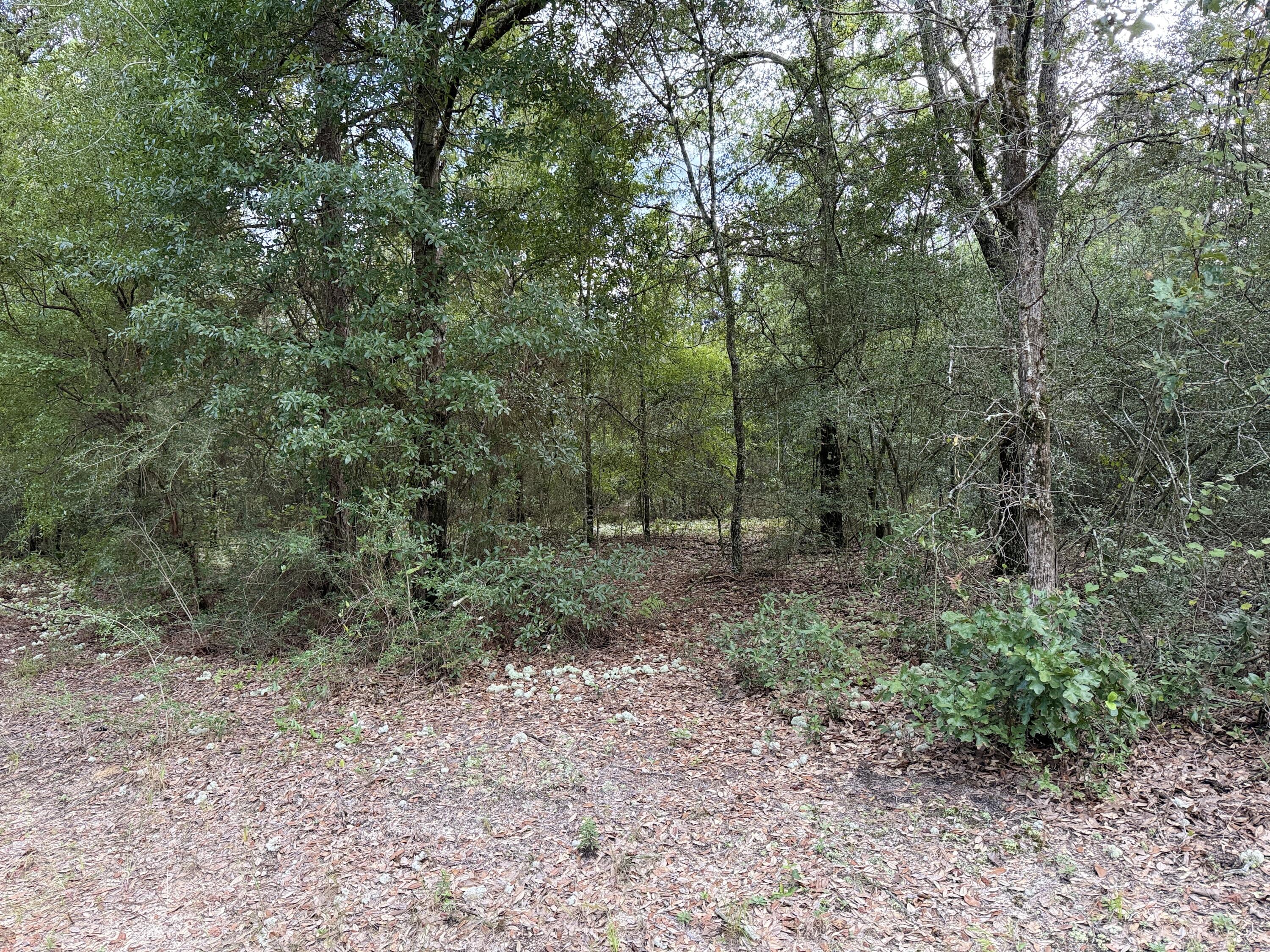 Imagine the possibilities on this stunning 4-arces wooded canvas, waiting for your visions to take shape.