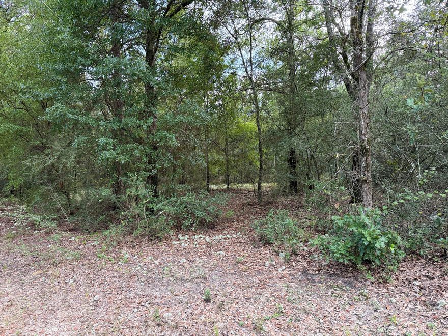 Imagine the possibilities on this stunning 4-arces wooded canvas, waiting for your visions to take shape.