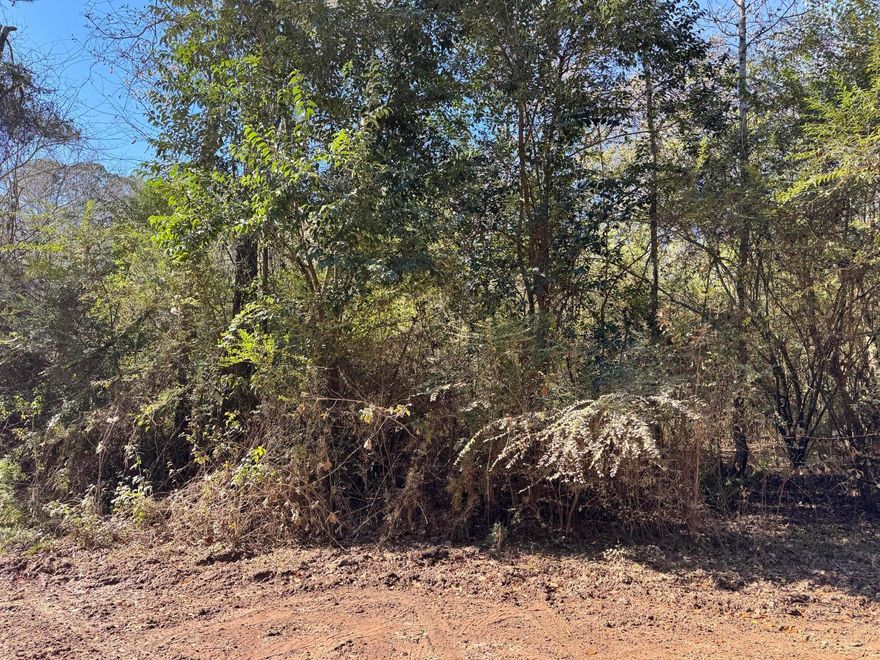 22 acres plus lot on the dead end of Gibson St. All 3 parcels are being sold together. Property has 3 ponds. Property is not in a flood zone. Lot had a possible structure on it several years ago. 

Parcels included are: 19-11-03-06-1-001-010.002, 19-11-03-06-1-001-020.000, 19-11-03-06-1-001-021.000